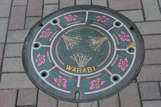 warabi1.jpg